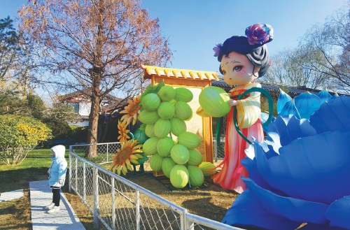 花灯争艳引客来 济南“湖畔雨荷”火出圈