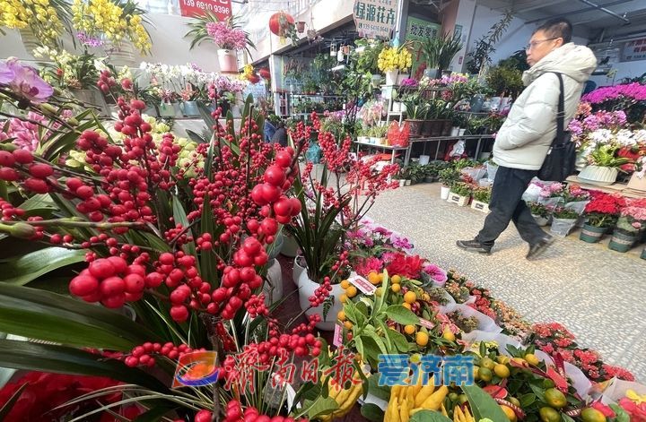 “双节”气氛组上线，济南年宵花市场持续升温