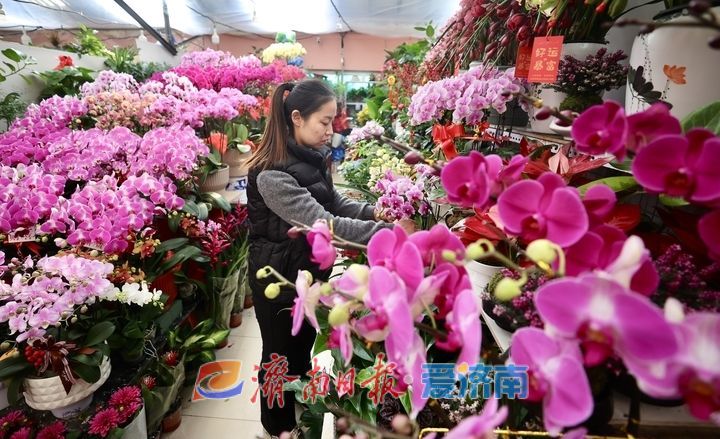 “双节”气氛组上线，济南年宵花市场持续升温