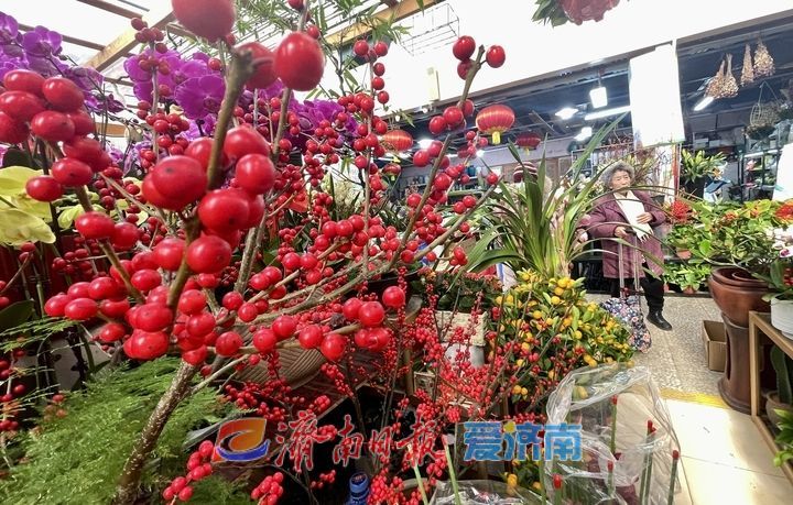 “双节”气氛组上线，济南年宵花市场持续升温