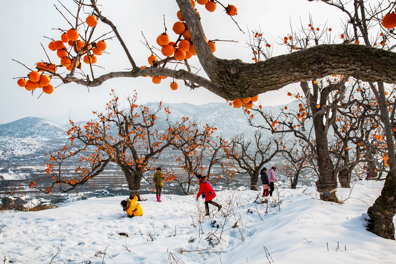 山村雪霽